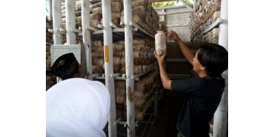 Kunjungan Kewirausahaan 2014